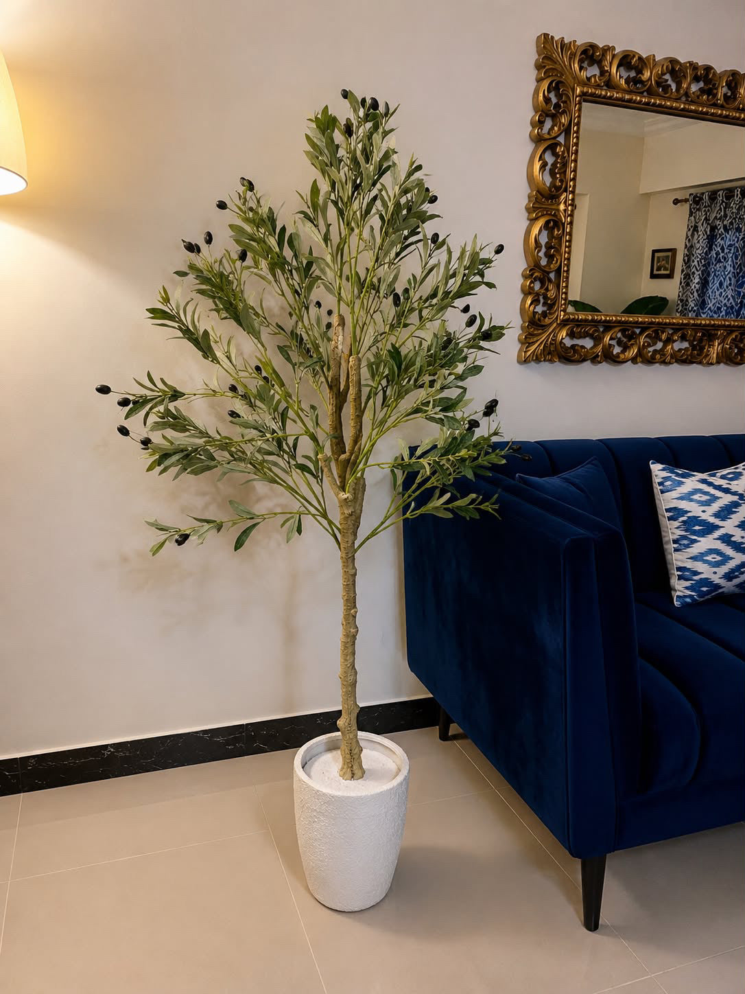 Potted olive tree with slender trunk and spreading green leaves in white pot