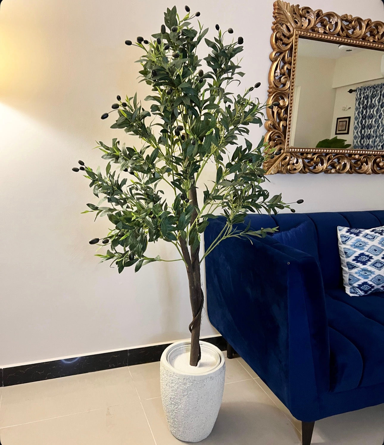 Olive Tree