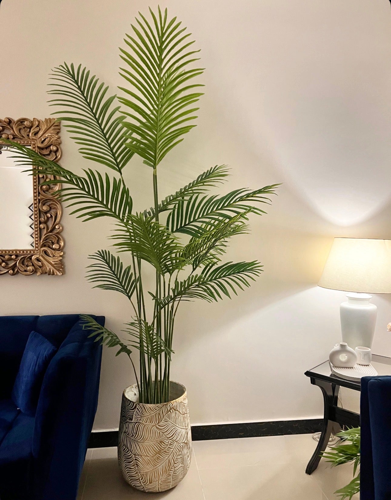 Tall Areeca palm