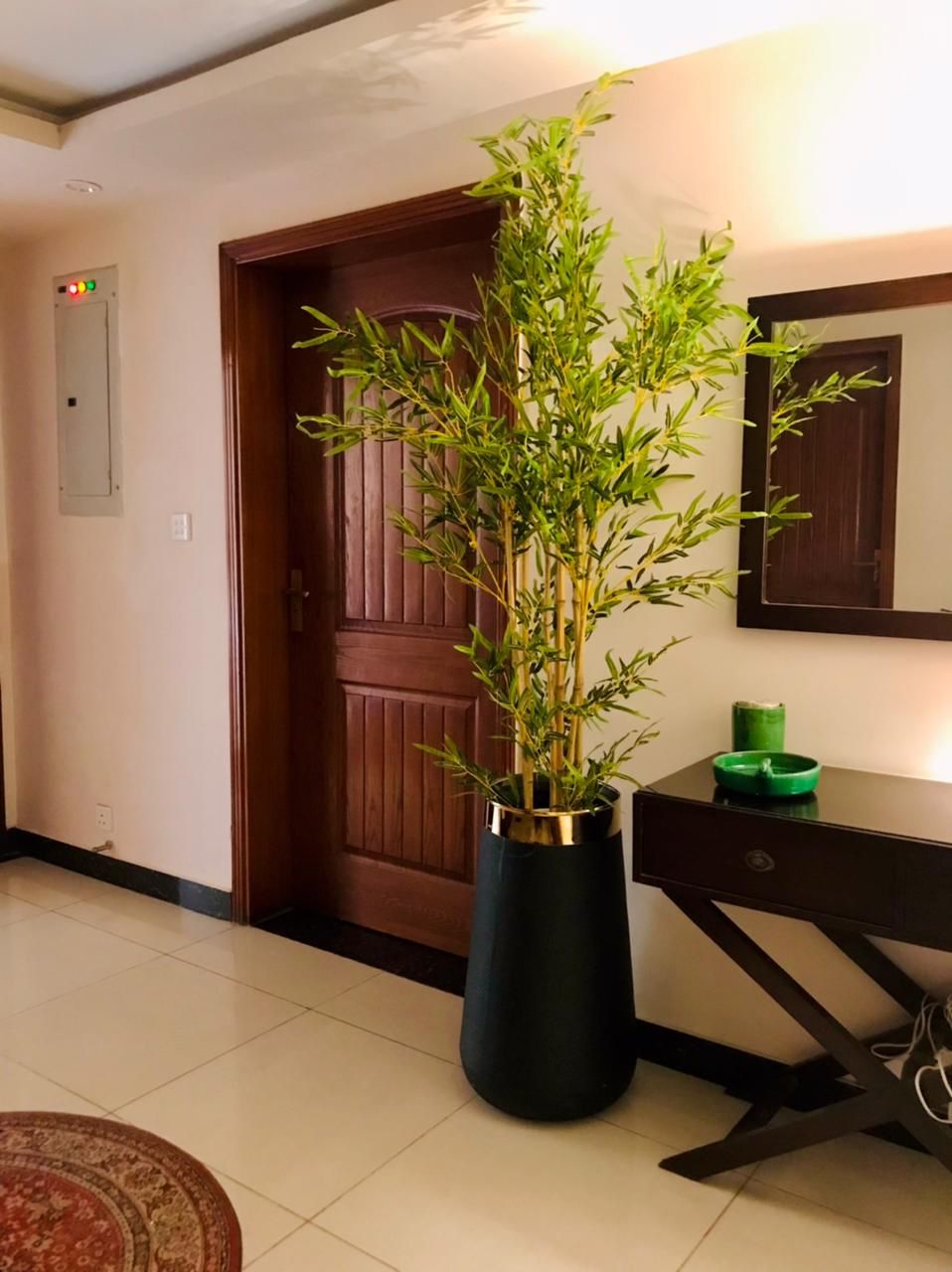 Tall Bamboo Plant 7 Feet