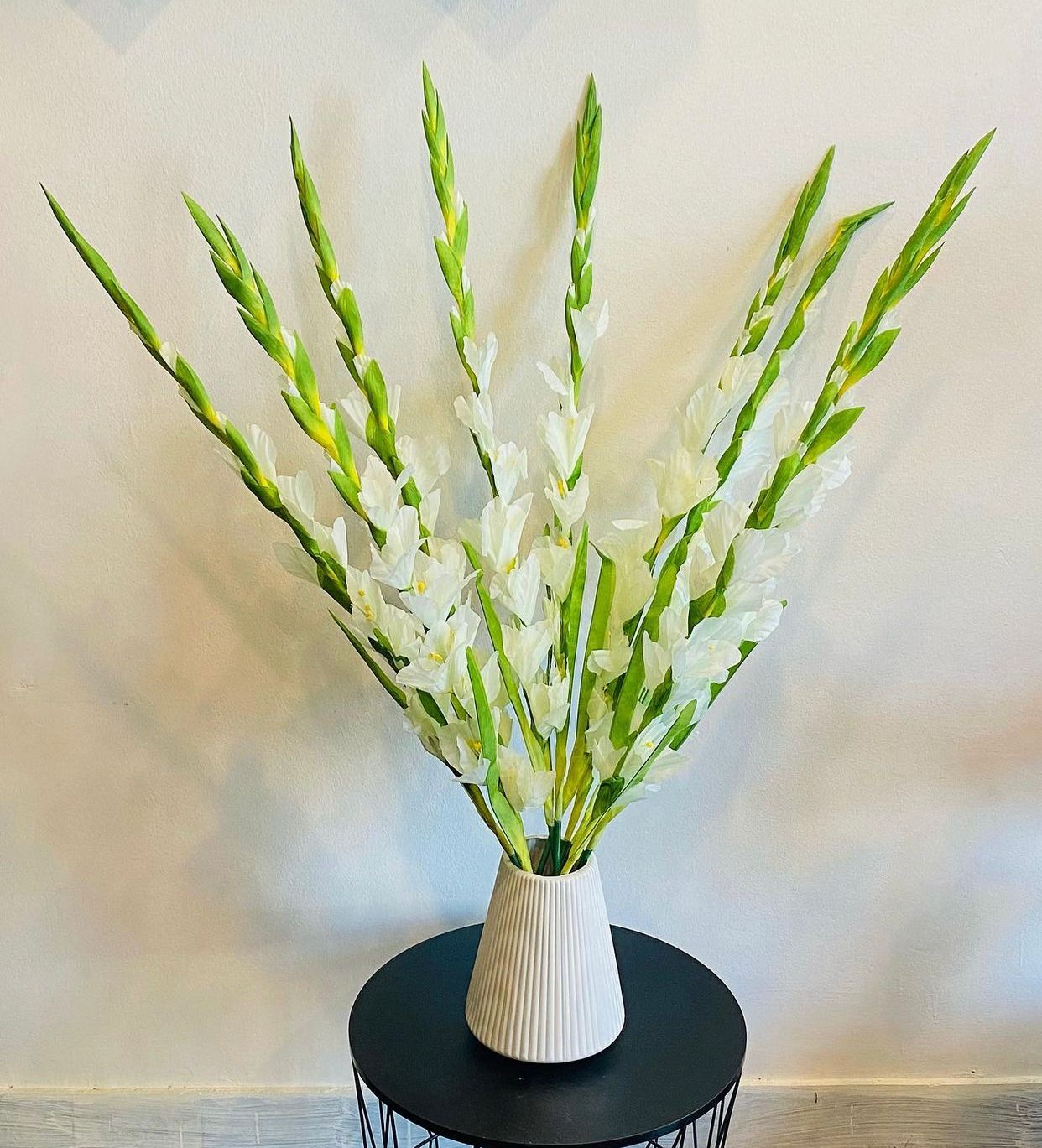White Gladiolus Stems