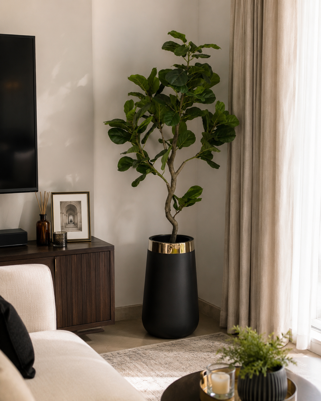 Guava plant with dense green foliage in black pot with gold top