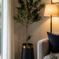 Olive Tree