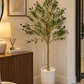 Potted olive tree with dense green leaves in a white fabric pot