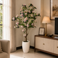 Blossom tree plant with pink and white blossoms in tall textured white pot