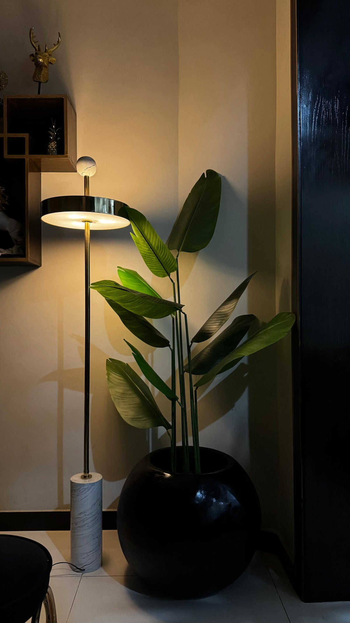 Banana plant with tall stems and large green leaves in a glossy black pot