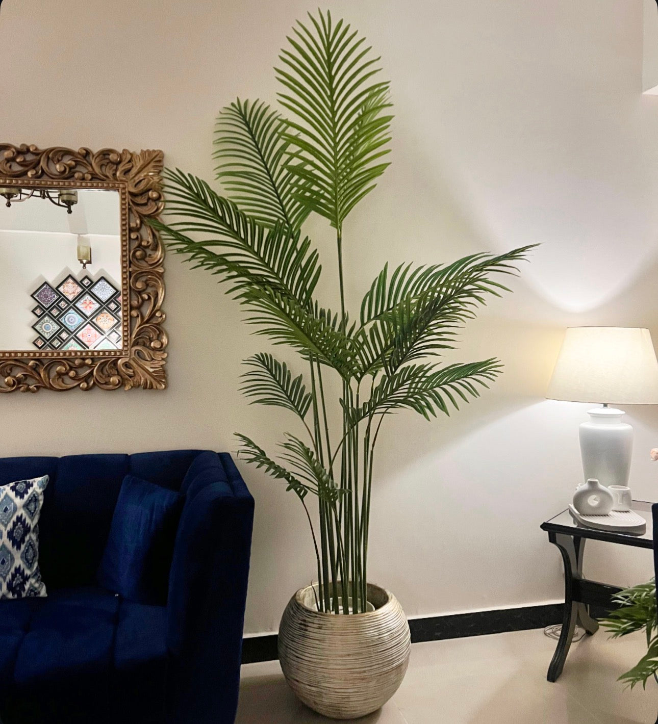 Tall Areeca Palm