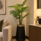 Tall areca plant in a matte black pot, lush green fronds and slender trunk.