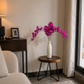 Long Orchids Stems