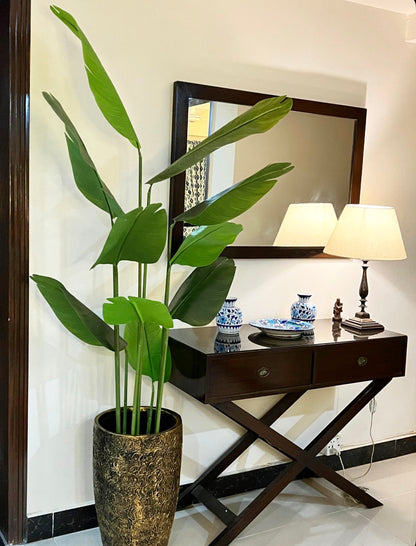 Tall banana palm plant in speckled gold-brown planter