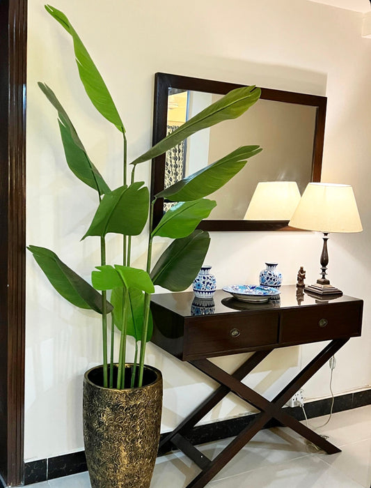 10 Leaves Banana Palm