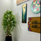 Tall bamboo plant with green stalks in a black cylindrical pot