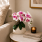 Orchid Stems