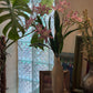 Pink star-shaped flower stems in a speckled ceramic vase with green leaves