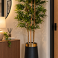 Tall bamboo plant with leafy green stems in a black planter pot