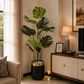 Tall monstera plant in black pot with gold base, indoors beside sofa