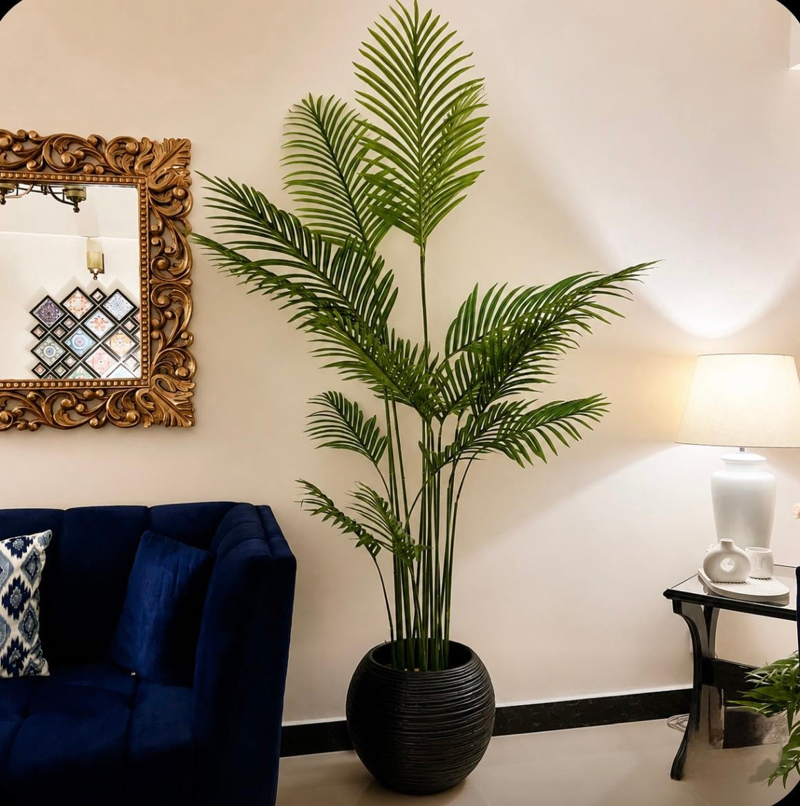 Tall Areeca Palm