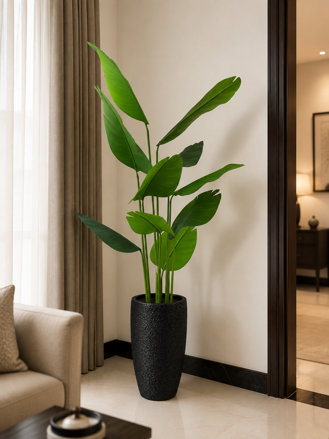 Tall banana palm plant in matte black planter
