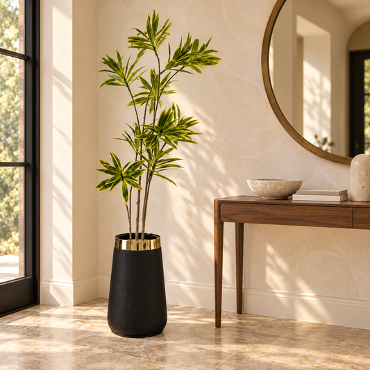 Potted dracena plant with tall green spiky leaves in dark ceramic pot