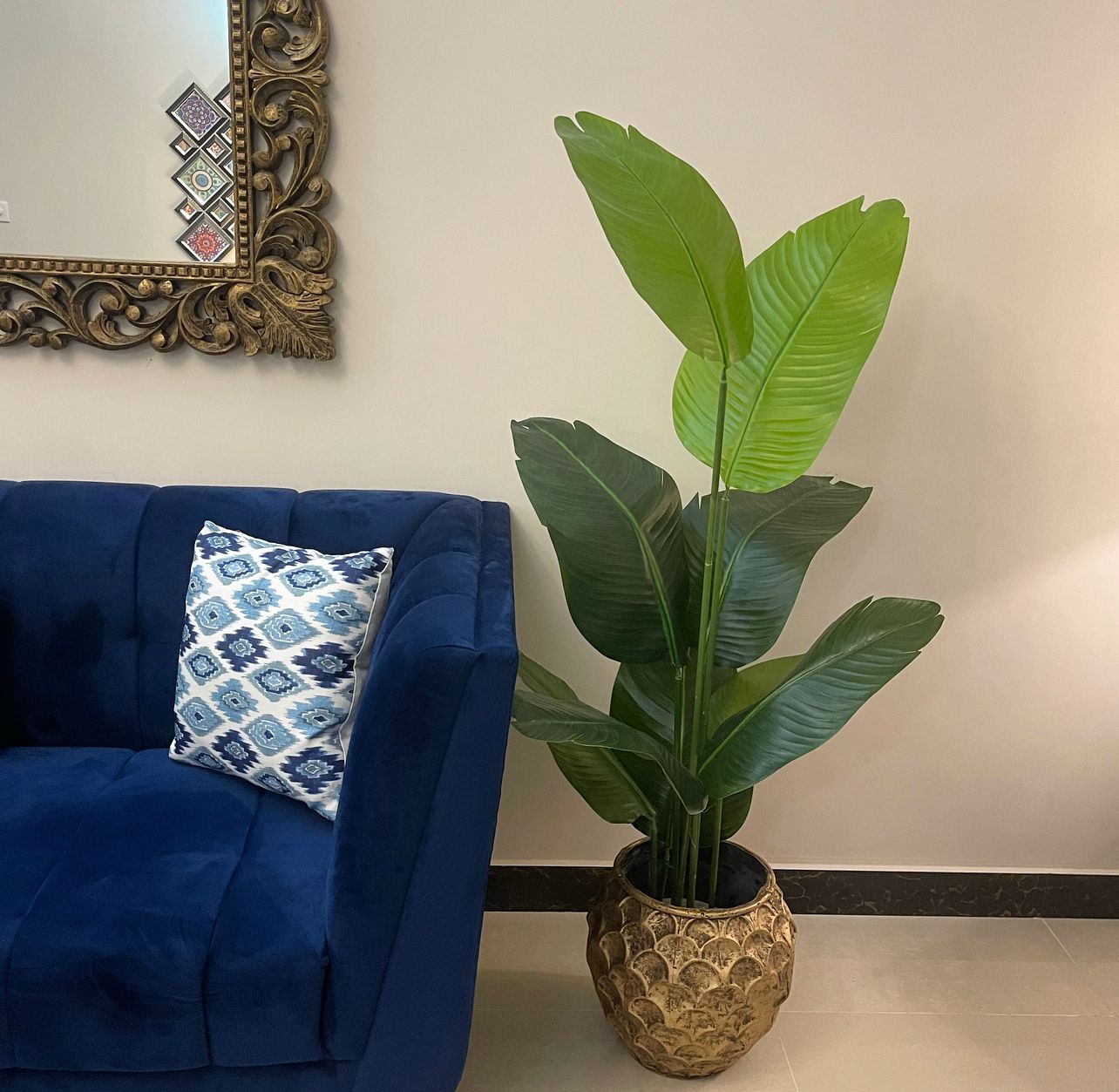 Tall Banana Palm 5 Feet