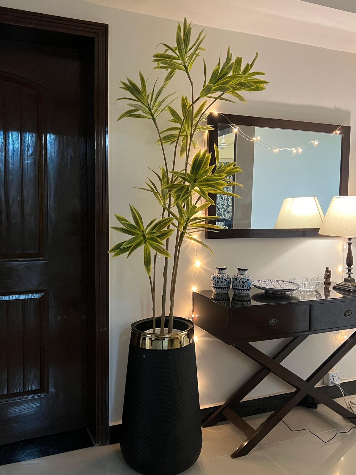 Tall Dracena Plant 7 Feet