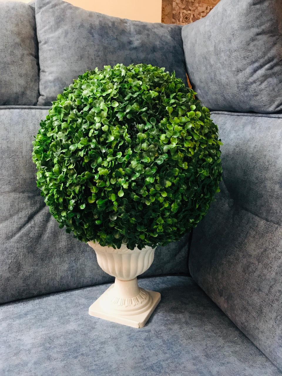 bonsai tree in pakistan Bonsai Ball – Gulbahaar