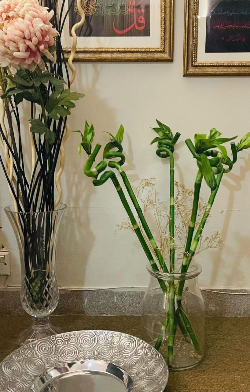 artificial lucky bamboo stems Lucky Bamboo Sticks